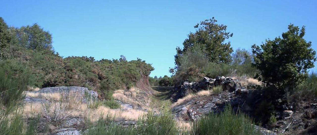 Una zona de vegetación y rocas.