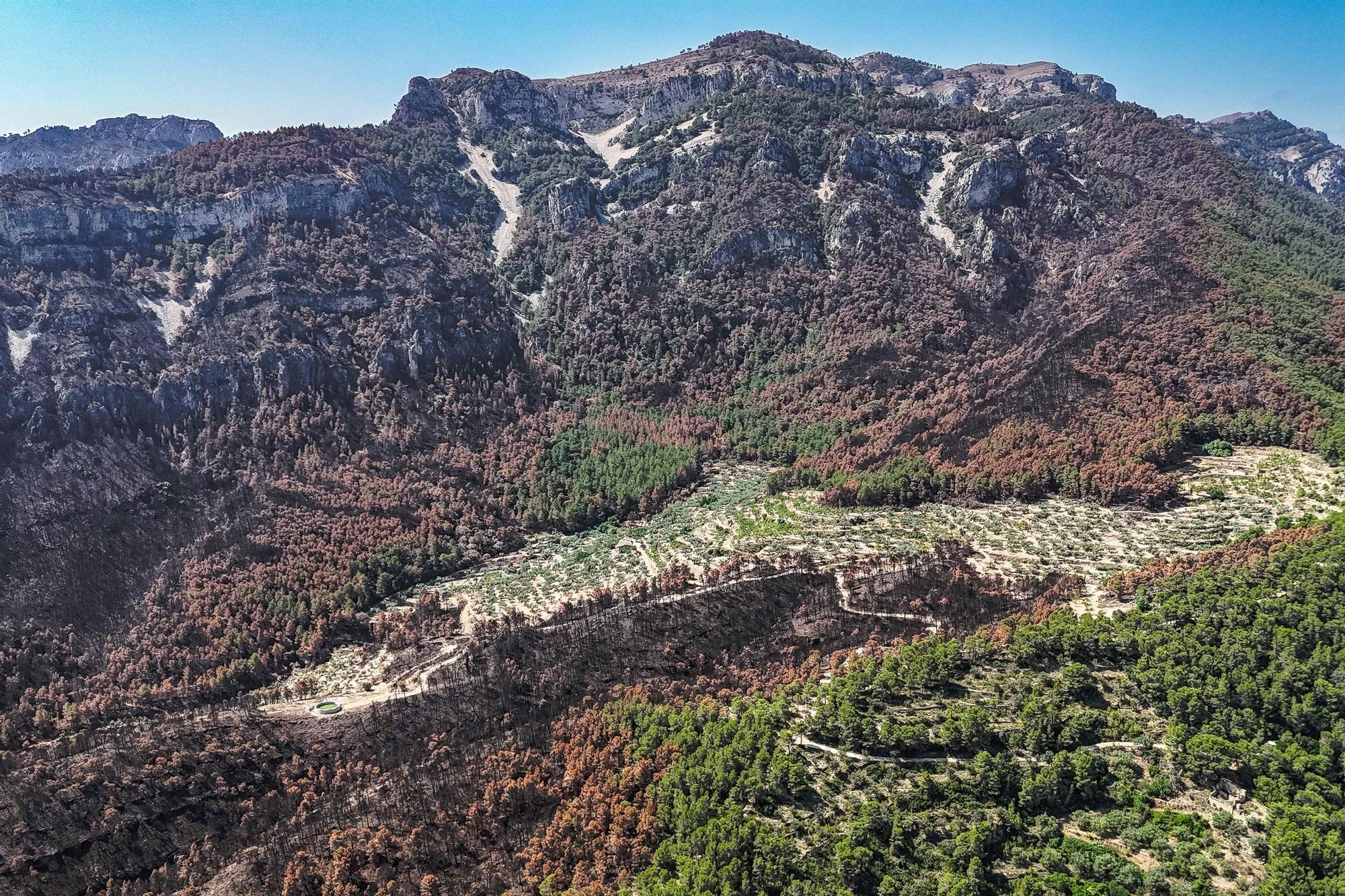 Les fotos de l'incendi de Paüls a vista de dron