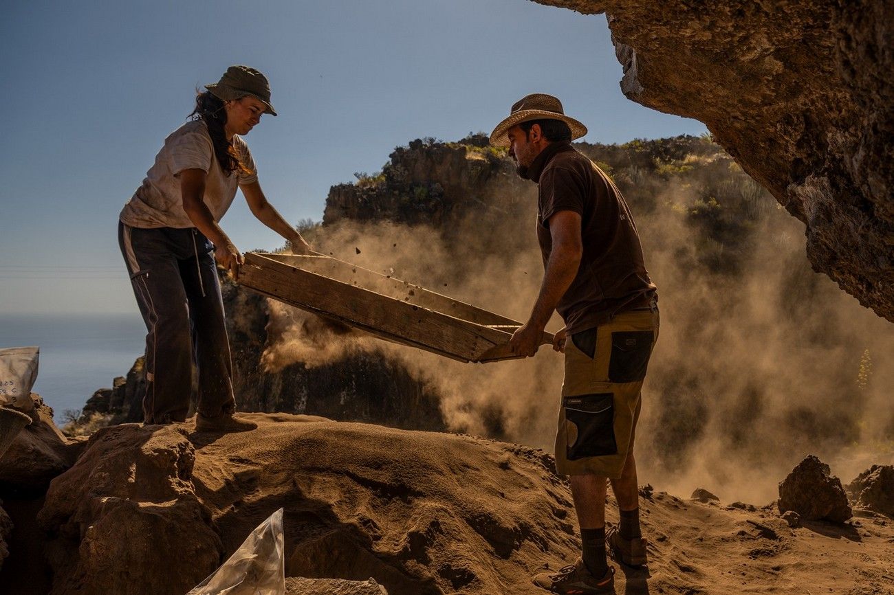 Las huellas 'palmeras' de Indiana Jones