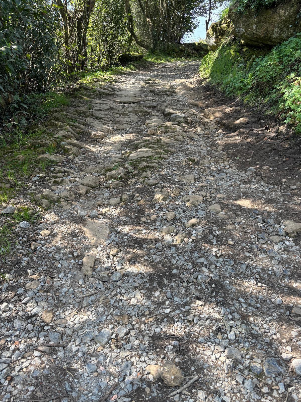 Un tramo del Camino que pasa por el municipio.