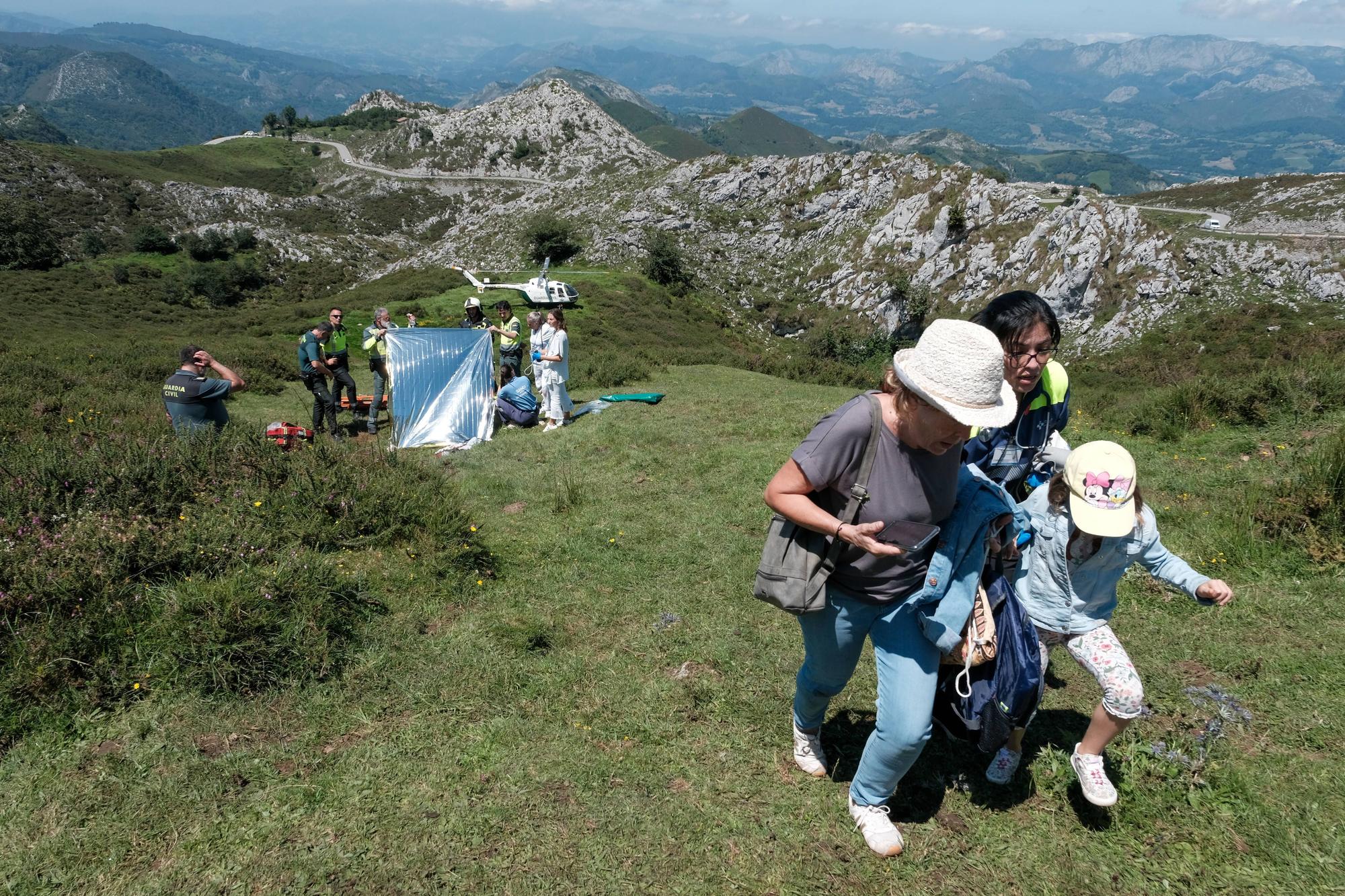 Grave accidente en Covadonga al despeñarse un autobús con niños que iba a los Lagos