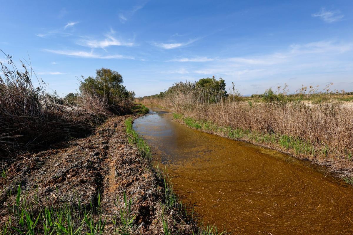 El Tancat de la Pipa vuelve a acoger visitantes tas un año cerrado por obras