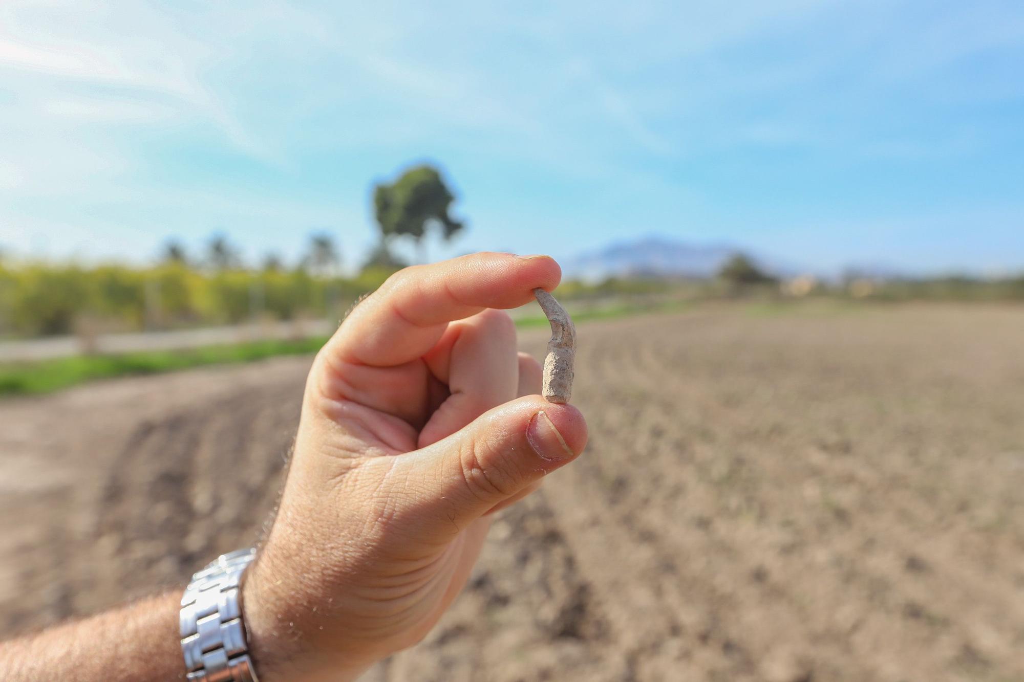 Tercera campaña arqueológica en el campo de concentración de Albatera