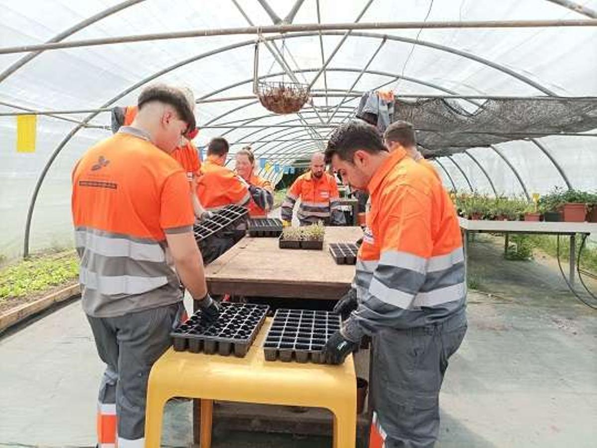 Jóvenes de un módulo de jardinería.