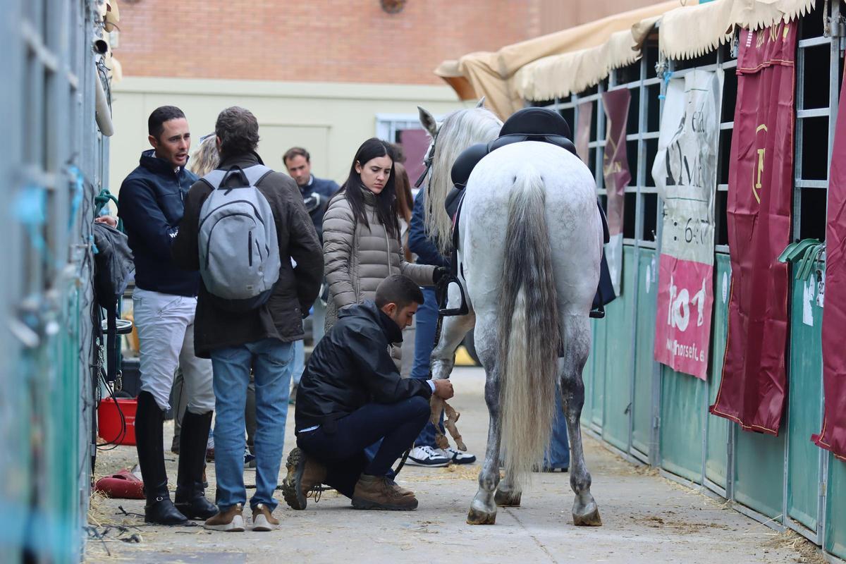 Córdoba en Sicab, en imágenes Córdoba en Sicab, en imágenes