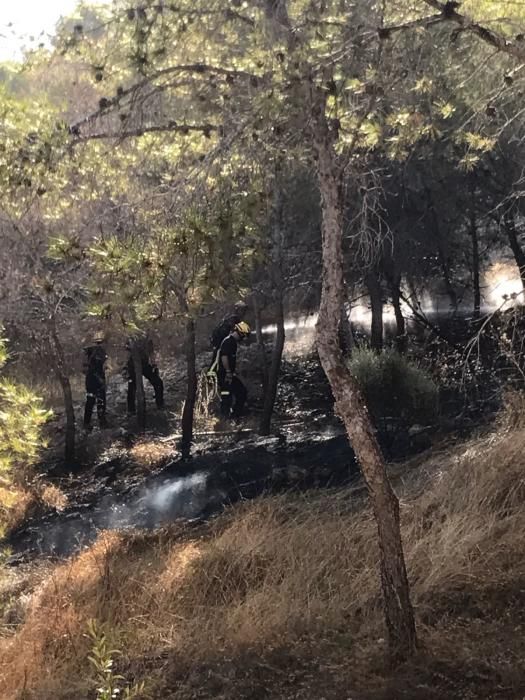 Pequeño incendio forestal en la Serra Grossa