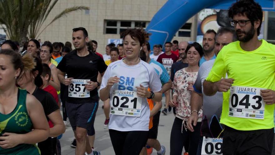 Carrera en la Universidad de Elche