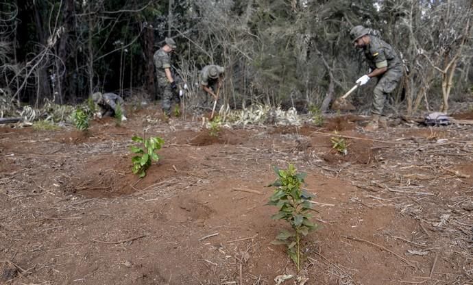 09/10/2017 FIRGAS. el Coronel Jefe del Regimiento de InfanterÍa del Ejército de Tierra, Marcelo de Carlos Huarte, y el consejero de Medio Ambiente, Miguel Ángel Rodríguez, presentaron la plantación que llevan a cabo el Ejército y el Cabildo en el Parque Rural de Doramas, en unos terrenos del Marquesado de Arucas. Se trata de una colaboración enmarcada en la restauración del ecosistema del monteverde que promueve el Proyecto LIFE+ Rabiche. FOTO: J. PÉREZ CURBELO