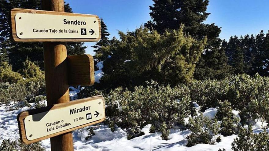 La Sierra de las Nieves, en invierno.