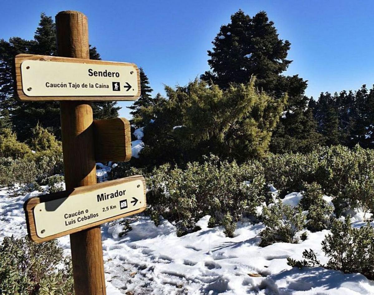 La Sierra de las Nieves, en invierno. | L.O