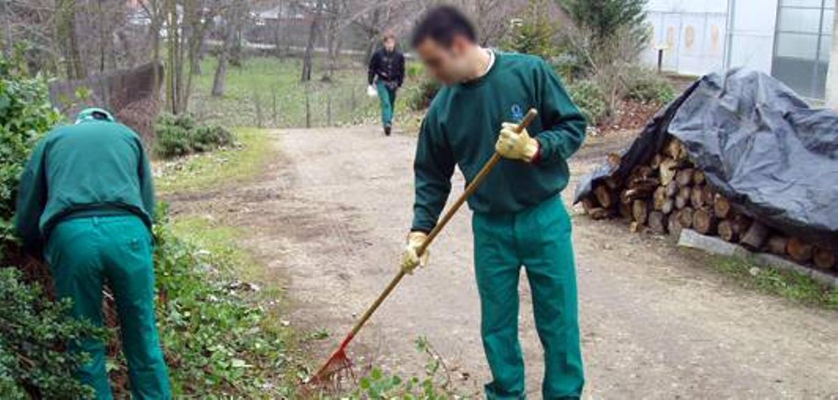 Condenados a penas alternativas a prisión limpian la maleza en una zona próxima a viviendas.