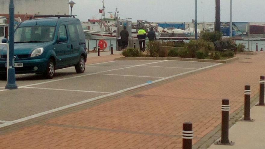 Técnicos de la APPA inspeccionaron el jueves el puerto de La Bajadilla de Marbella.