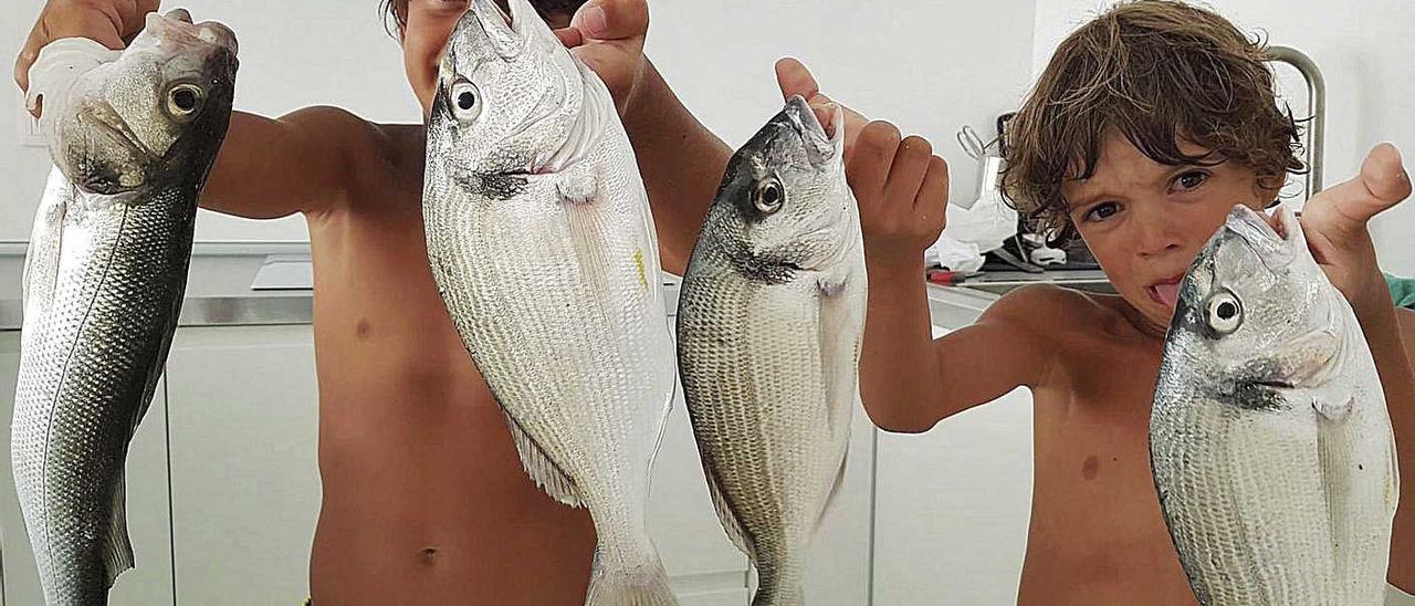 El verano sin turistas permite a los hermanos Pau y Martín excelentes capturas en pesca con caña desde la arena de la playa de Alcúdia.