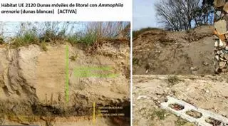 “La duna de Santa Cristina está viva, se está renaturalizando y creciendo, y hay pruebas”