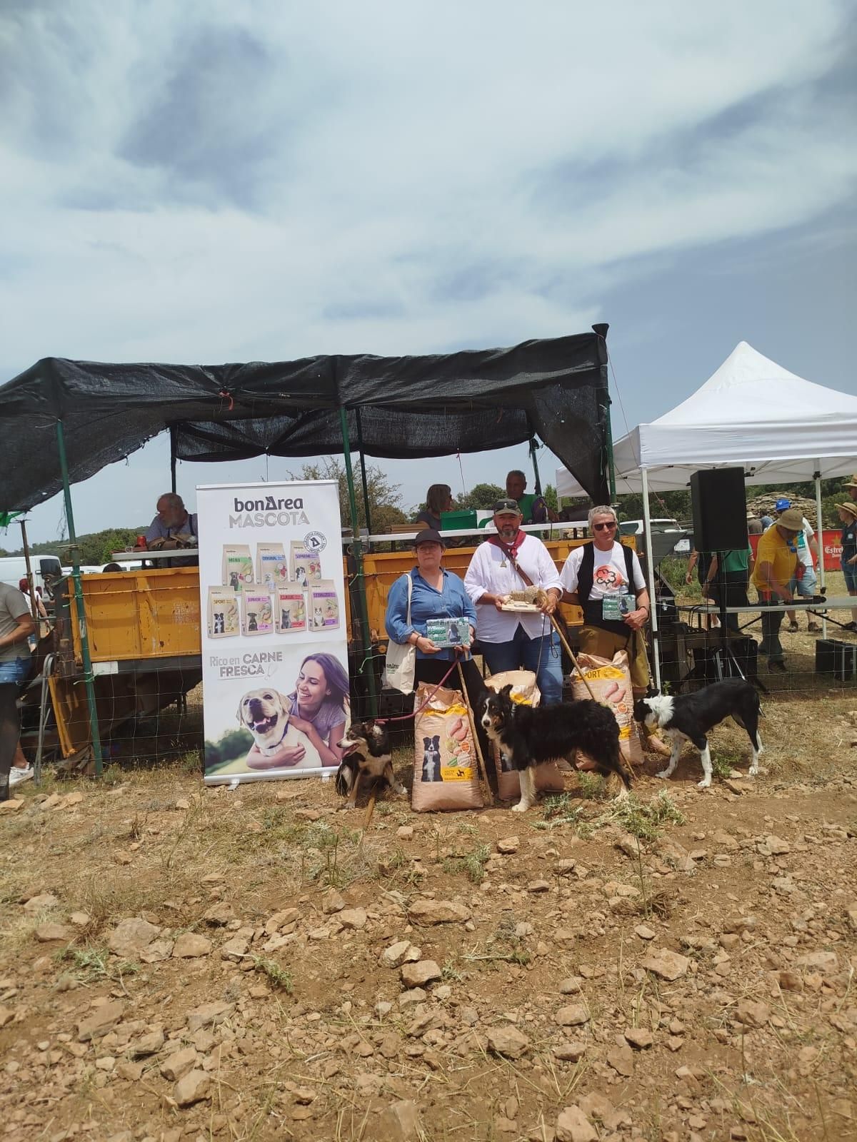 FOTOGALERÍA: Las imágenes del concurso de perros pastores de Ares del Maestrat