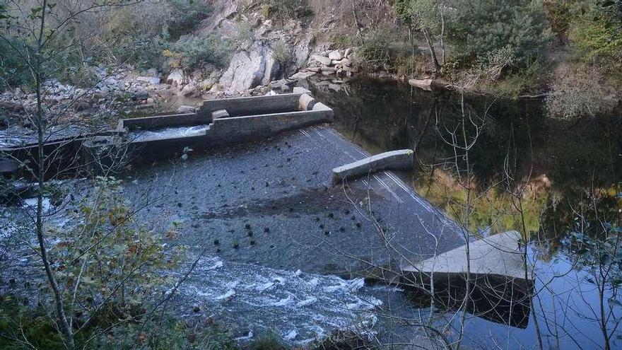 Estado de la presa del Lérez en Monte Porreiro a principios de esta semana. // Rafa Vázquez