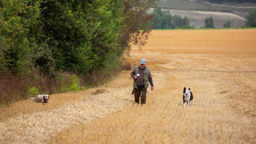 El bienestar animal: un derecho salpicado por las excepciones