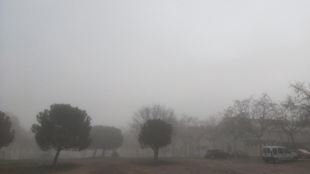 La boira pixanera al parc de l’Agulla i a Manresa