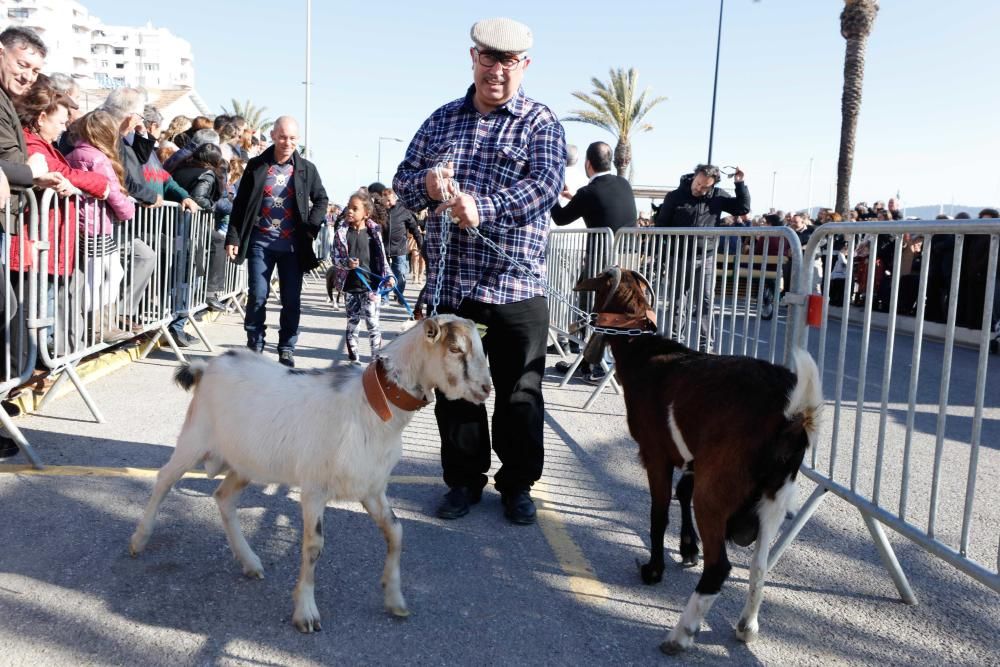 Día grande en Sant Antoni