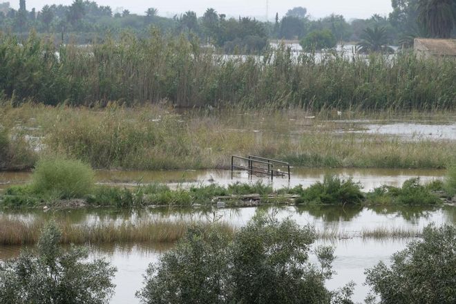 Así está San Fulgencio tras la gota fría