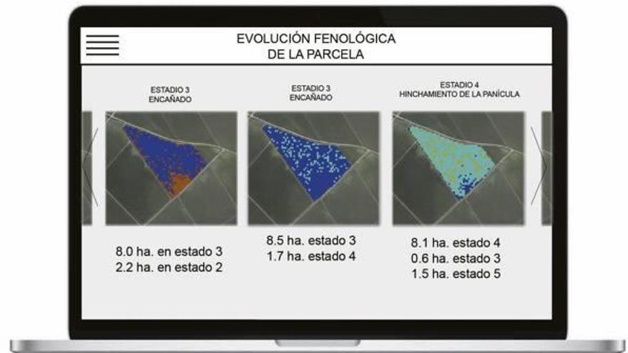 Caleb de Bernardis muestra la aplicación que ha desarrollado junto a Beatriz Sanchís. Abajo, dos muestras de datos de Nax.