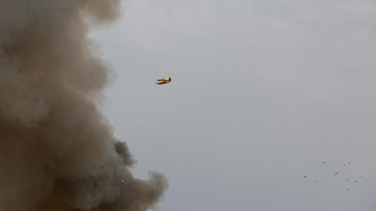 Nuevo incendio en el vertedero de Ibiza