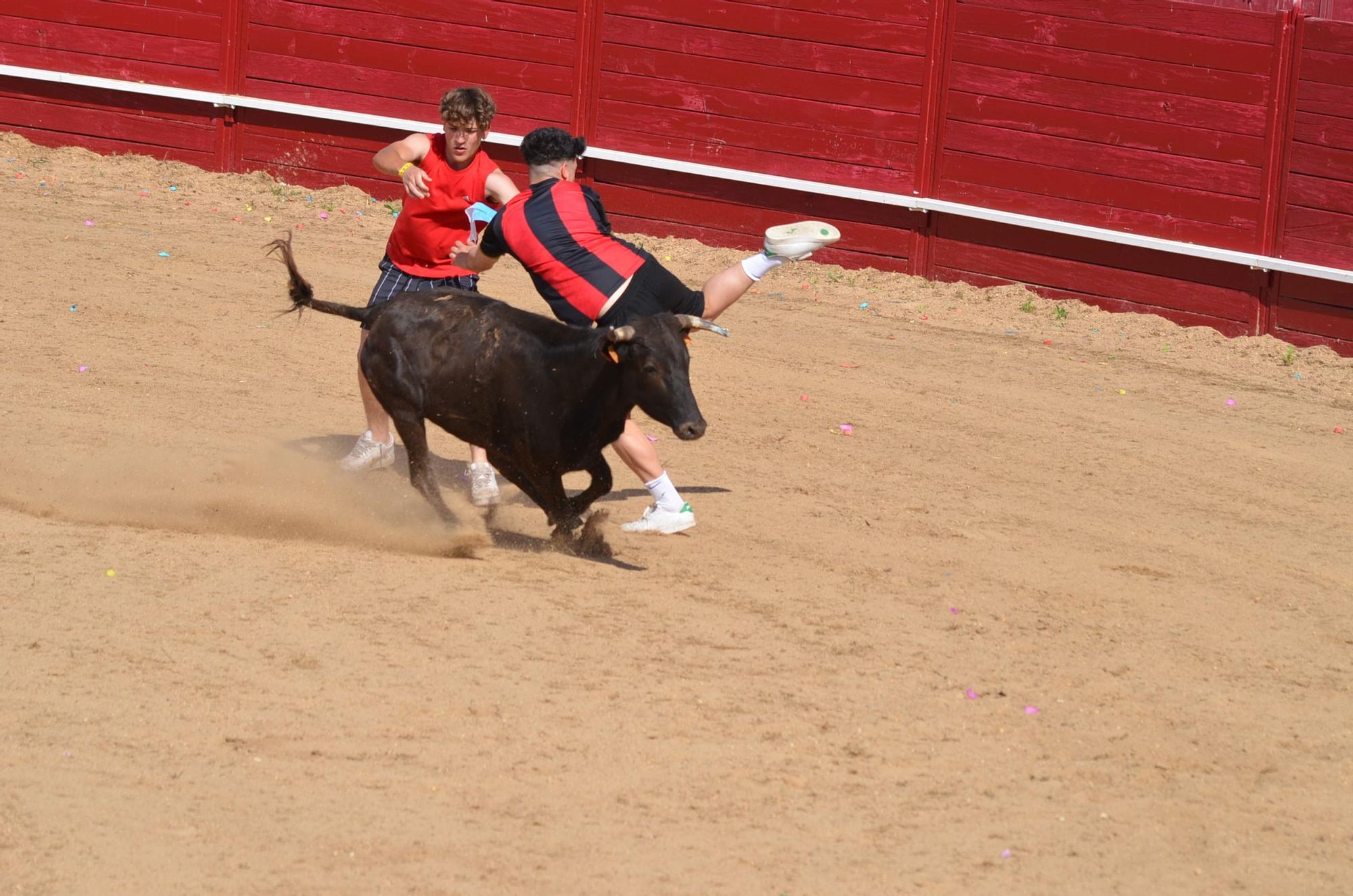 Fiestas del Toro en Benavente: Las mejores imágenes del "Juego de la NTE"