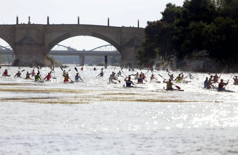 Campeonato de regatas en el Ebro