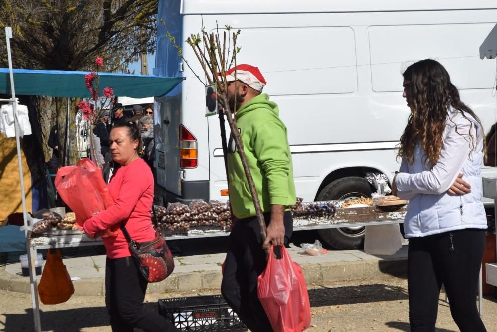 Feria del Burro y romería en San Vitero de Aliste