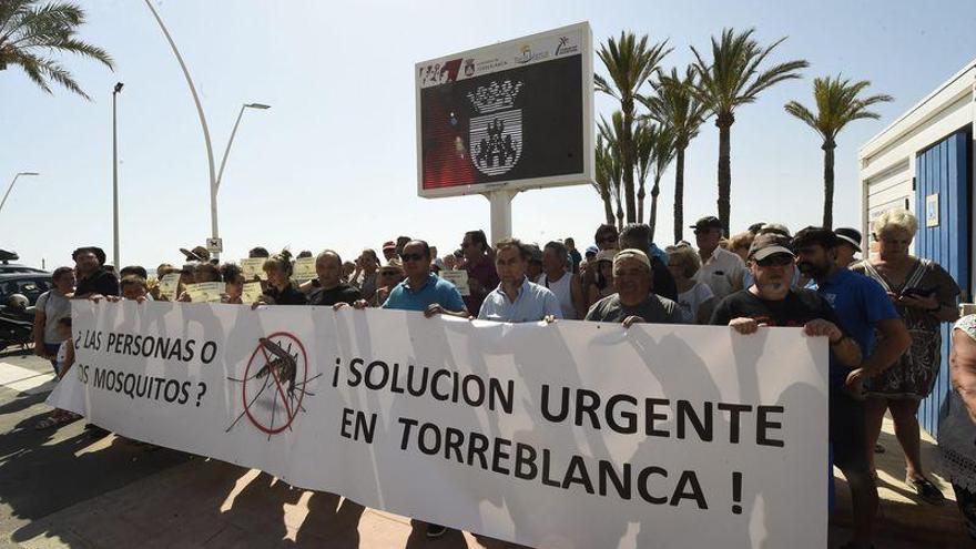 Sanidad y Diputación descartan medidas excepcionales por la plaga de mosquitos en Castellón
