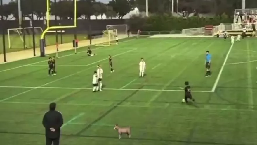 El golazo de falta de Ciro Messi que ya es viral...¡Qué locura!