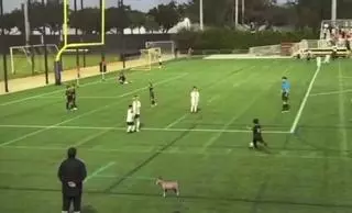 El golazo de falta de Ciro Messi que ya es viral...¡Qué locura!