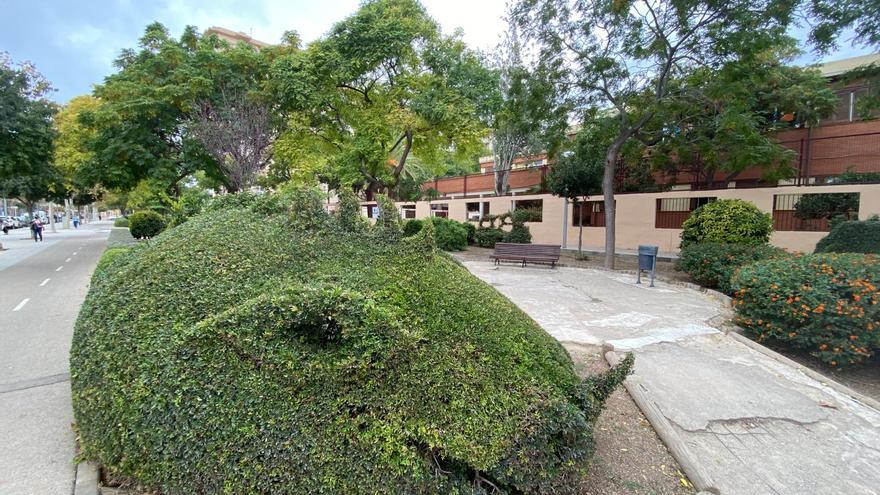 FOTOS: Así era el jardín de los dragones de Palma, en Nou Llevant, y este su aspecto de abandono de hoy