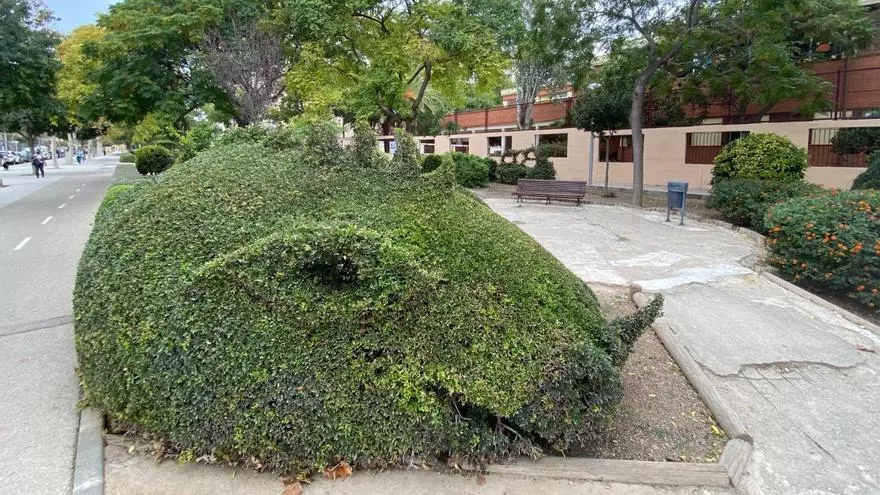 El jardín de los dragones de Palma desaparece del barrio de Nou Llevant víctima de los recortes del ayuntamiento