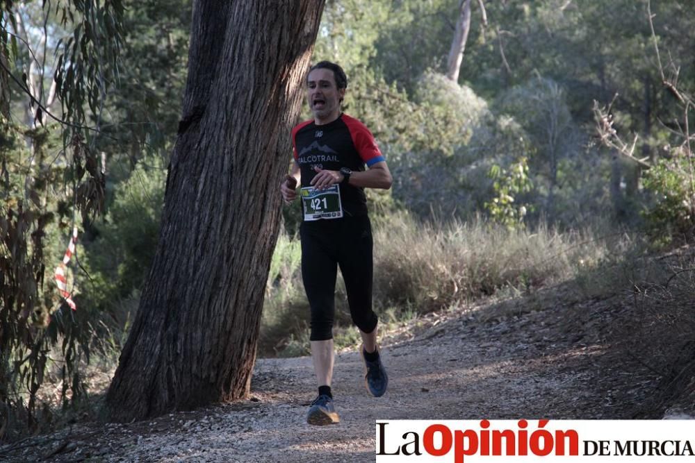 San Jorge Dragon en La Alcayna