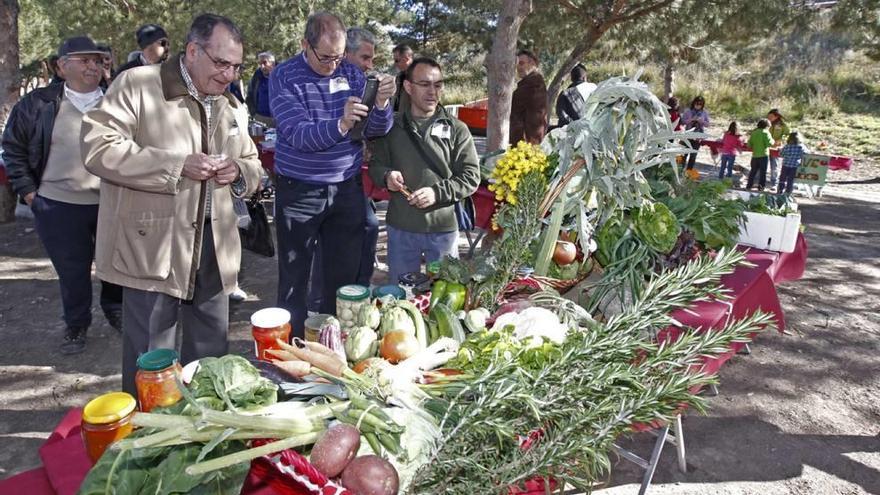 La primera cita de la Fiesta de la Cosecha tuvo lugar en 2013.