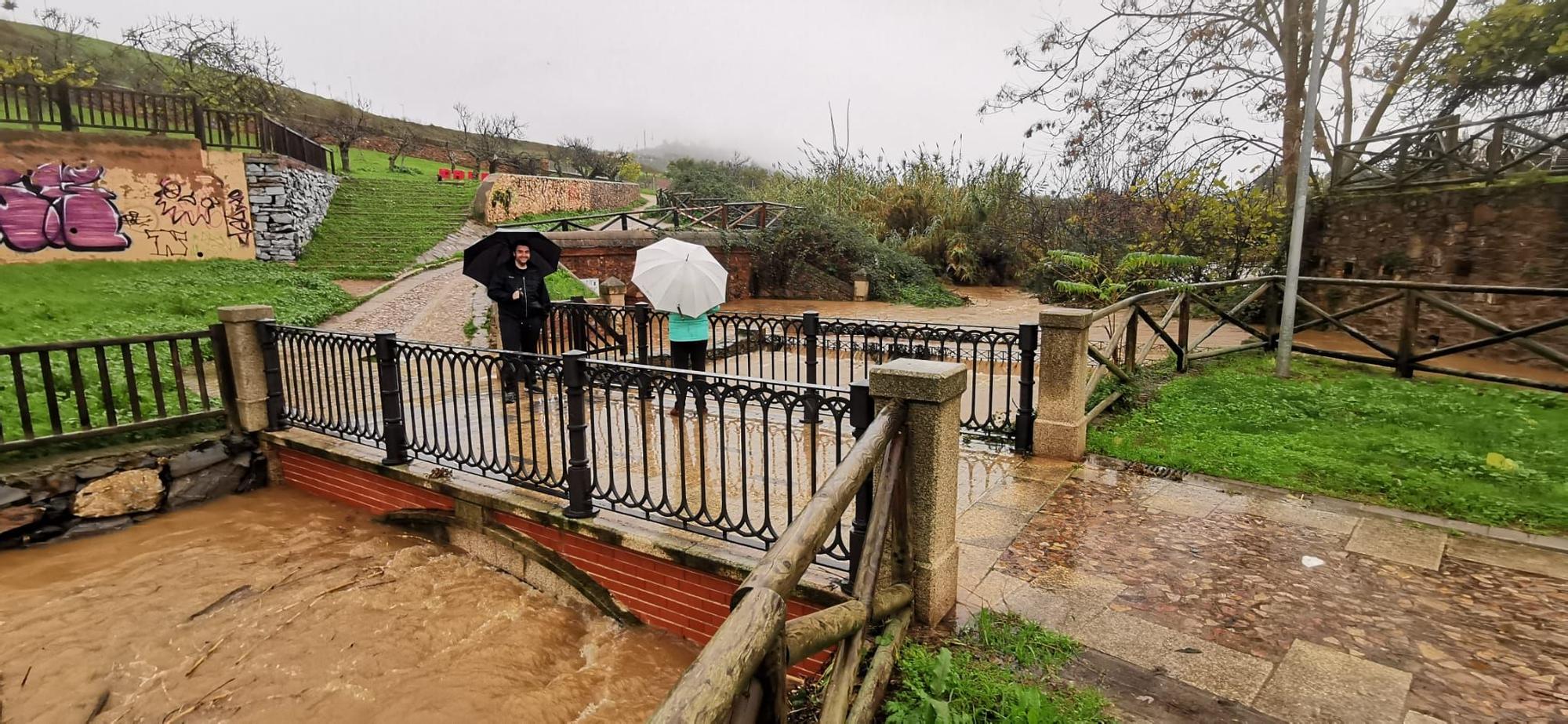 Las imágenes que deja la borrasca Efraín en Extremadura