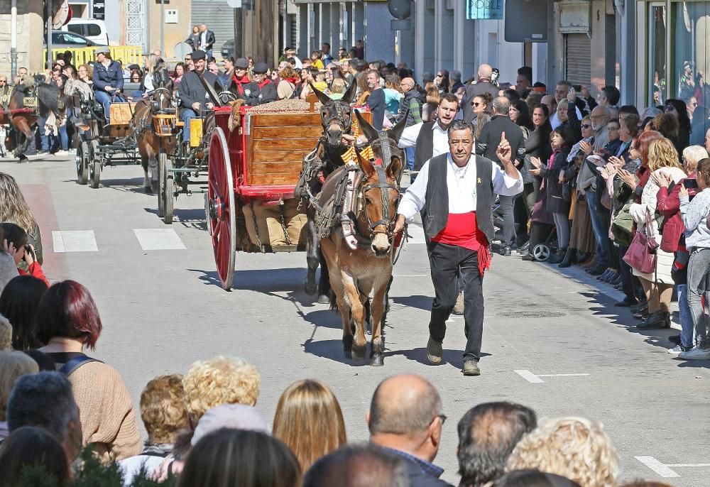 Festa de Sant Antoni de Sant Vicenç de Castellet