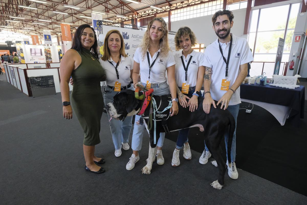 Feria Animundo