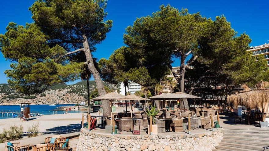 María 5 Beach: Un lugar idílico para vivir una experiencia multisensorial