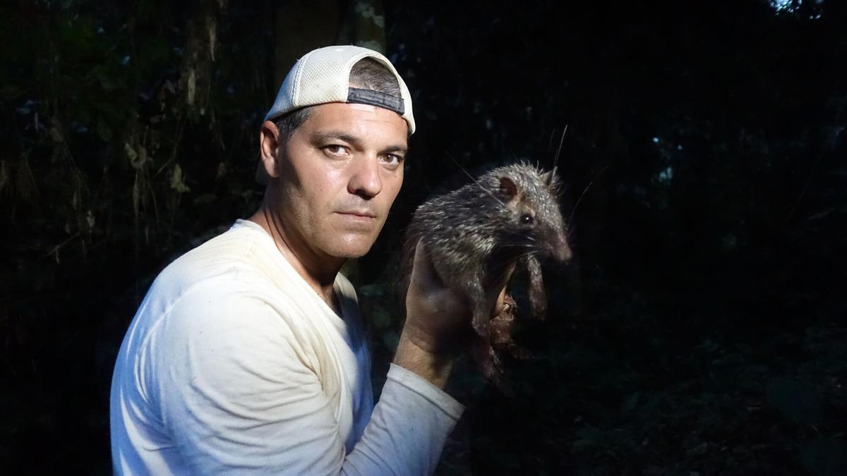 Francisco Javier Cuesta Ramos, más conocido como Frank Cuesta o Frank de la Jungla.