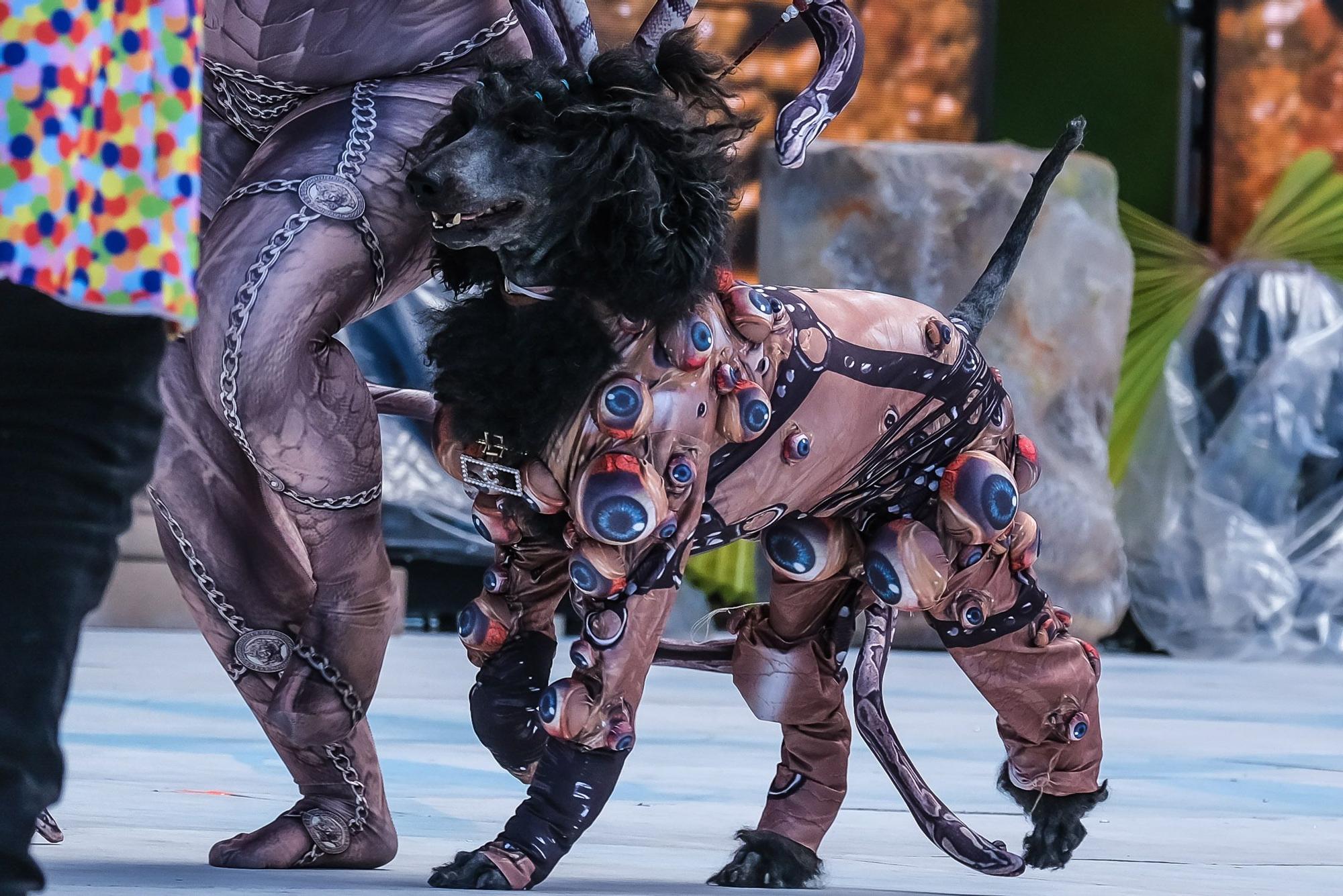 Carnaval Canino de Las Palmas 2022