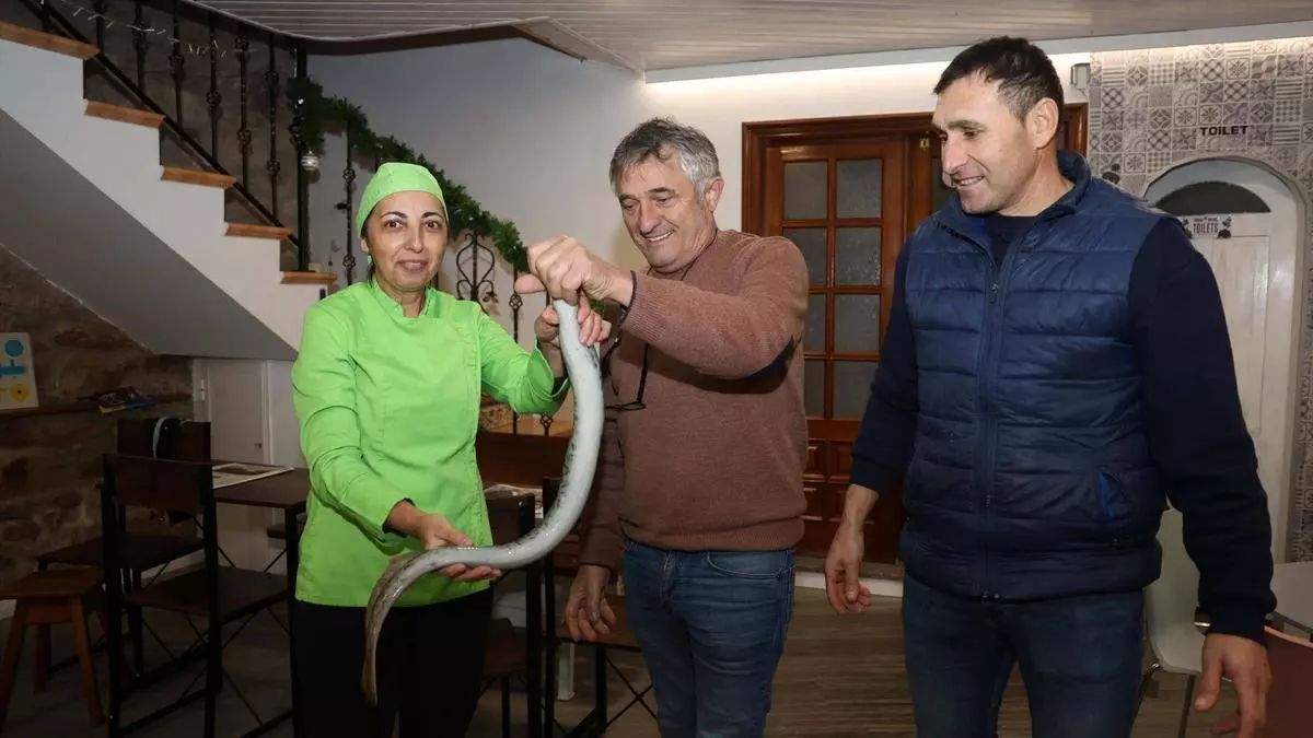 Las primeras lampreas de la temporada, a 100 euros la unidad