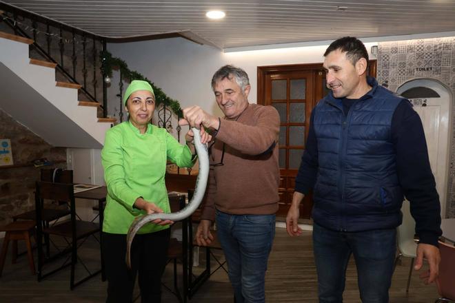 La lamprea del Ulla está de vuelta