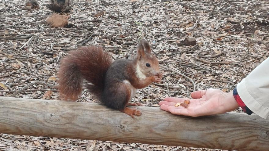 Senderismo gratis para jóvenes en Torrevieja: dos rutas para descubrir La Mata esta primavera