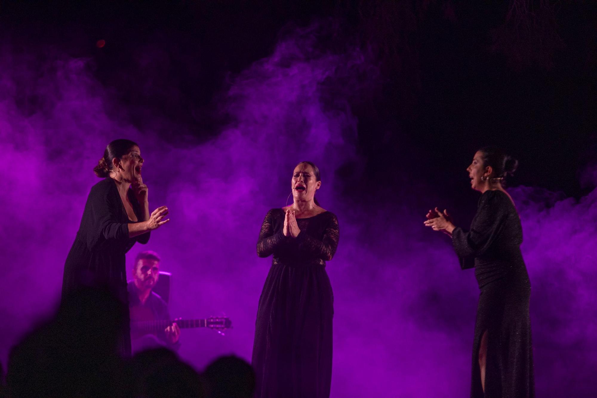 Todas las imágenes de la actuación del bailaor Eduardo Guerrero en Ibiza