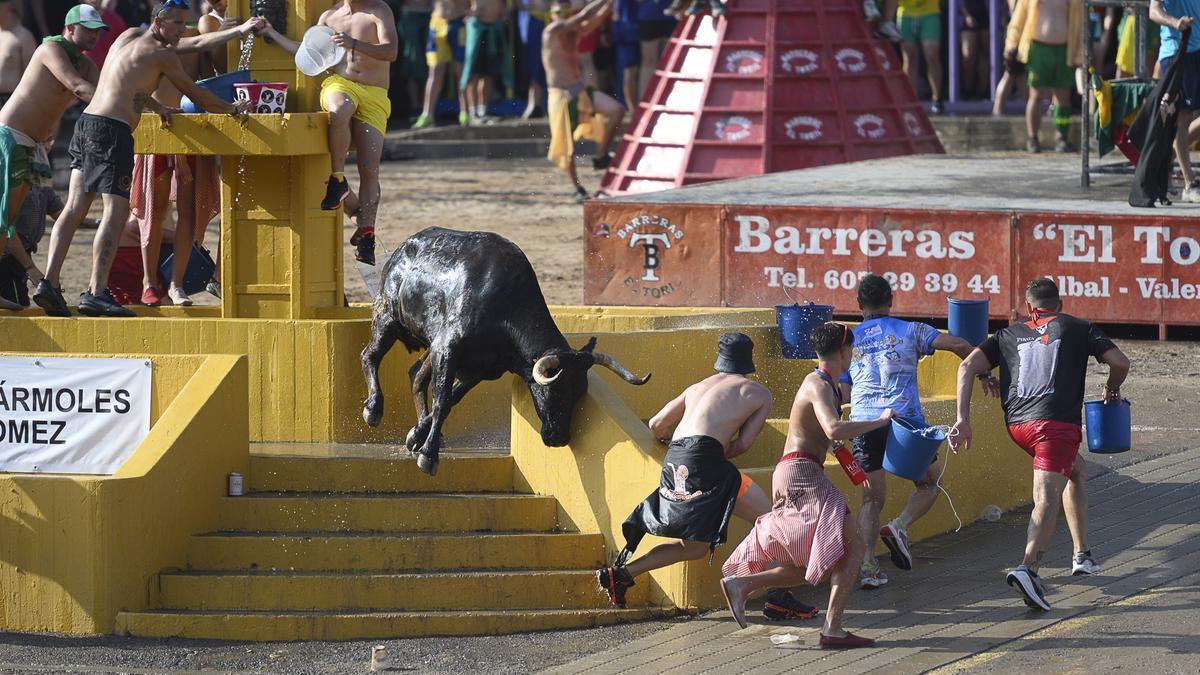 Algunos de los mejores momentos que ha ofrecido el ganado de Fernando Machancoses en les Penyes de la Vall