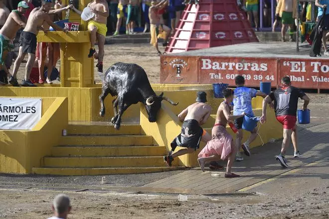 Algunos de los mejores momentos que ha ofrecido el ganado de Fernando Machancoses en les Penyes de la Vall