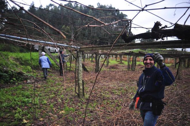 Las lluvias complican las podas en frutales y viñedos en O Salnés