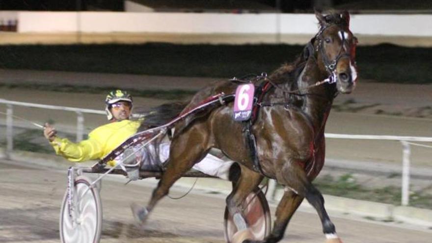 Miquel Àngel Binimelis celebra su neta victoria de ayer en Manacor con Un d´En Fliper.